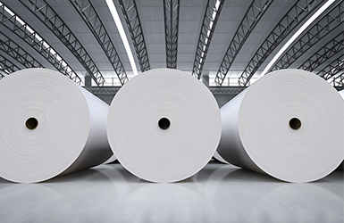 Paper & Pulp