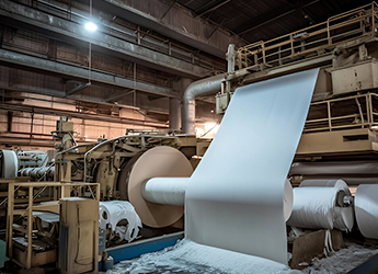Paper & Pulp